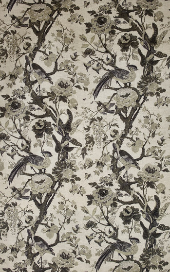 Silkbird col. 002 | Drapery fabrics | Dedar