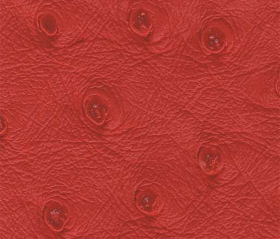 Ben | 16606 | Upholstery fabrics | Dörflinger & Nickow