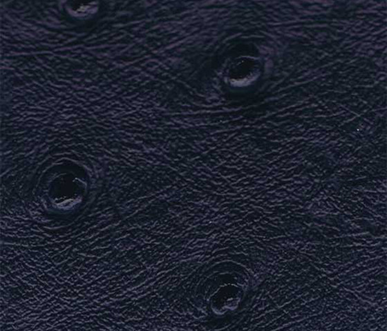 Ben | 16611 | Upholstery fabrics | Dörflinger & Nickow