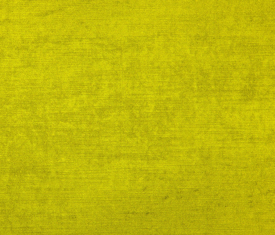 Velcolor | 16895 | Upholstery fabrics | Dörflinger & Nickow