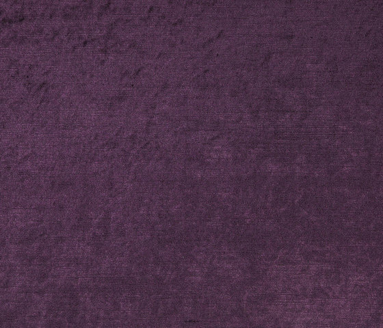 Velcolor | 16905 | Upholstery fabrics | Dörflinger & Nickow