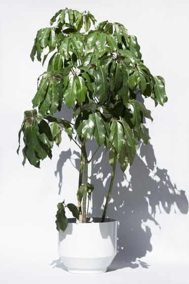 Outdoor Spun Planter 16" | Pale Gray | Vasi piante | Yield