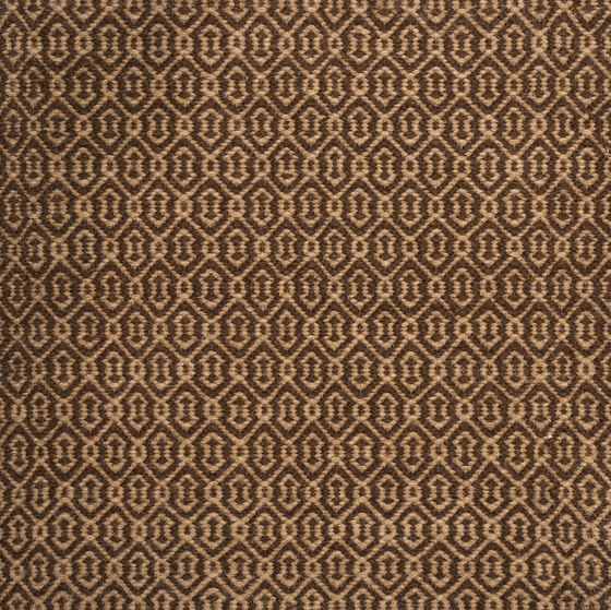 Wild Pitch brown & beige | Tappeti / Tappeti design | kymo