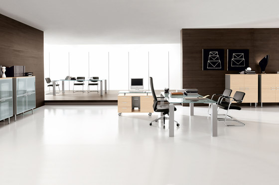 Tao Executive | Desks | Sinetica Industries