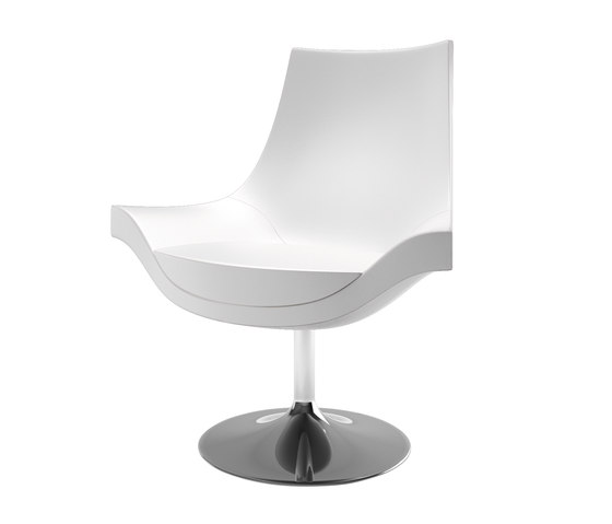 Sumi 1551 PO b02g | Chairs | Cizeta