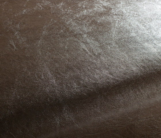 Secc 1021 | Dekorstoffe | Carpet Concept