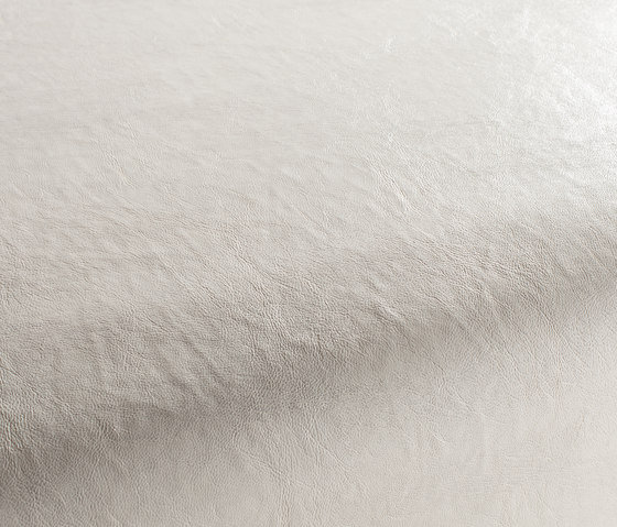 Secc 1090 | Dekorstoffe | Carpet Concept