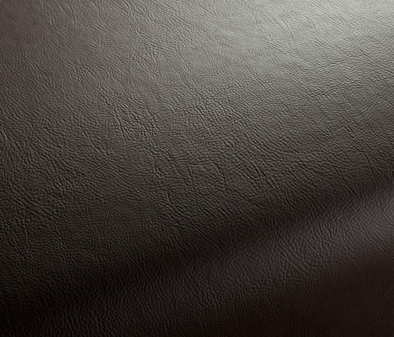 Secc 2320 | Dekorstoffe | Carpet Concept