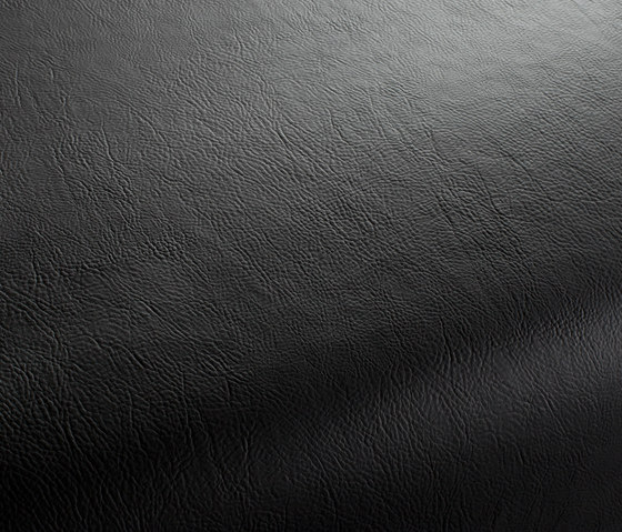 Secc 2494 | Dekorstoffe | Carpet Concept