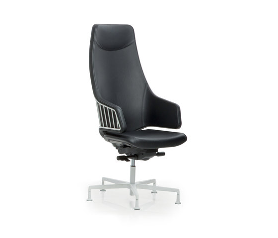 Italia IT3 | Chairs | Luxy