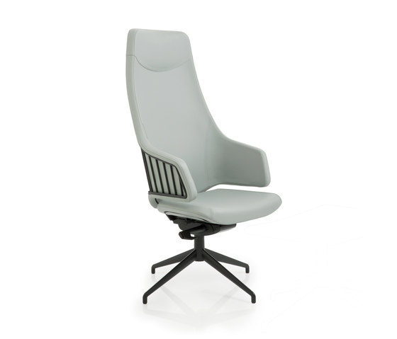 Italia IT5 | Chairs | Luxy