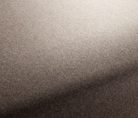 Texx 023 | Dekorstoffe | Carpet Concept