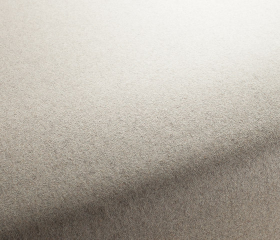Texx 074 | Dekorstoffe | Carpet Concept
