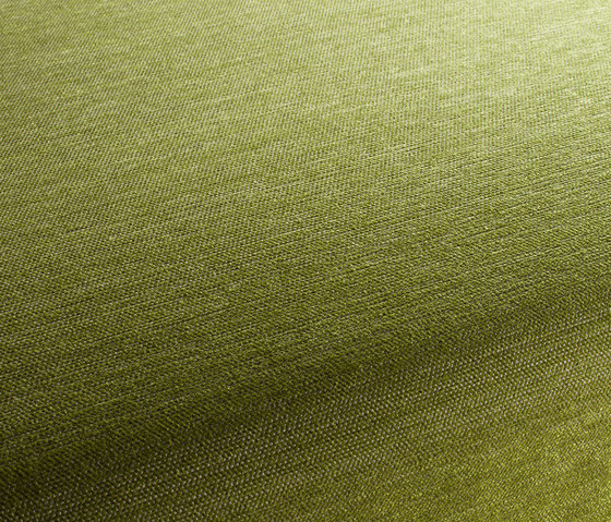 Luxx 036 | Dekorstoffe | Carpet Concept