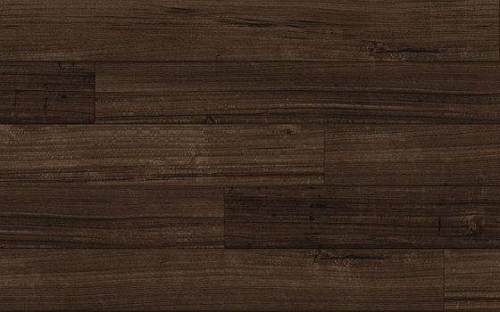 Spotted Gum - Espresso | Synthetic panels | Aspecta