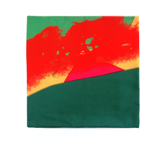 Andy Warhol Art Pillow AW04 | Kissen | Henzel Studio