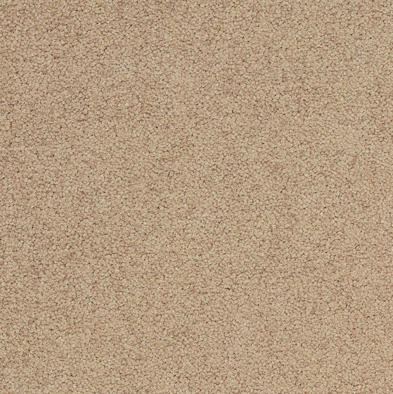 Palatino Broadloom | Wall-to-wall carpets | Desso by Tarkett