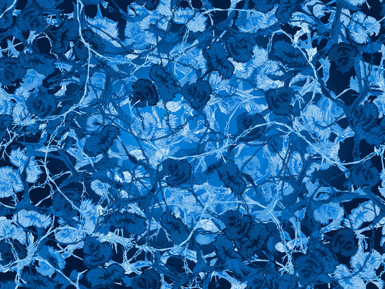 Avatar | Dark rug | Alfombras / Alfombras de diseño | moooi carpets