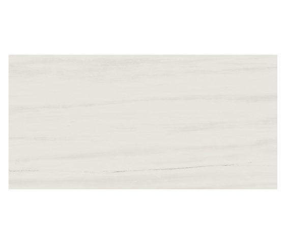 Marvel Stone ms bianco dolomite matt | Panneaux céramique | Atlas Concorde