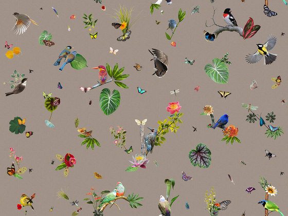 Garden of Eden | Bird Broadloom | Moquettes | moooi carpets