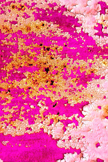Oxidized | pink | Moquettes | moooi carpets