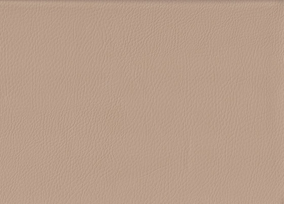 K324145 | Faux leather | Schauenburg