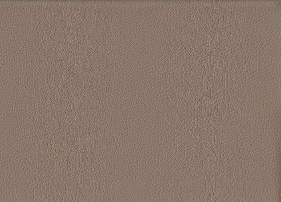 K324150 | Faux leather | Schauenburg