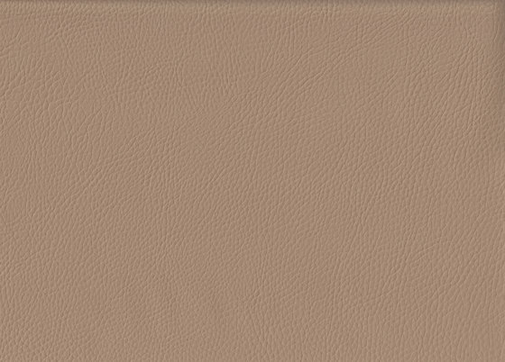 K324155 | Faux leather | Schauenburg