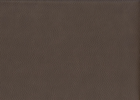 K324375 | Faux leather | Schauenburg