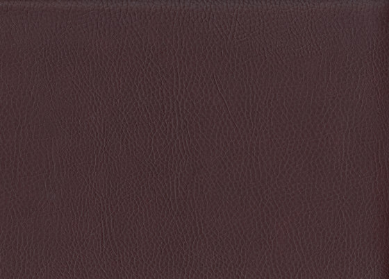 K324580 | Faux leather | Schauenburg