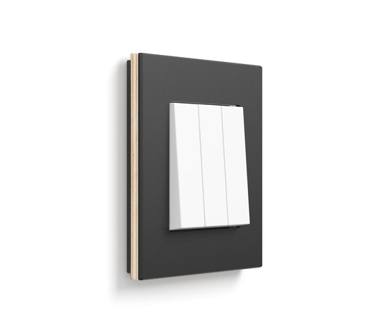 Esprit linoleum-plywood | Series switch | Lighting controls | Gira