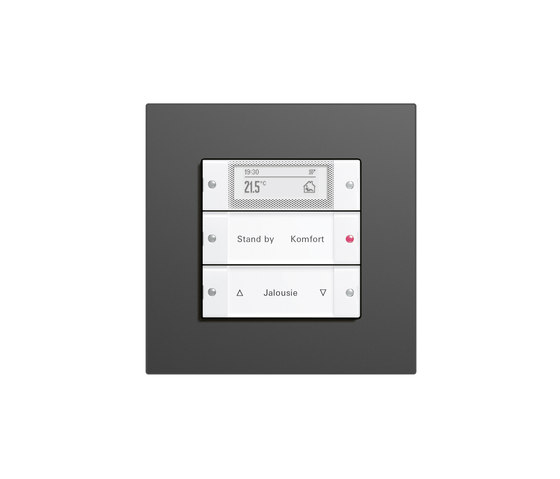 Esprit Linoleum-Plywood | Touch sensor | Lighting controls | Gira