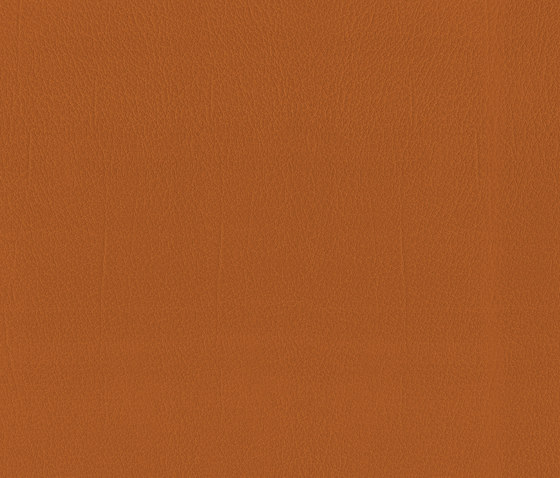 Como | Terracotta | Faux leather | MI-Millennium International