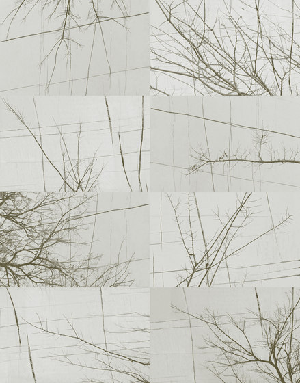 Bois D'Hiver | Revêtements muraux / papiers peint | Wall&decò