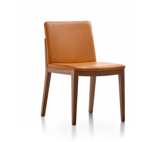Camilla | Chairs | Fornasarig