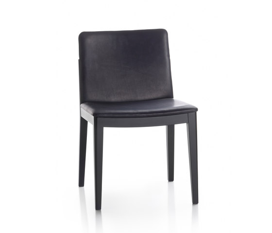 Camilla | Chairs | Fornasarig