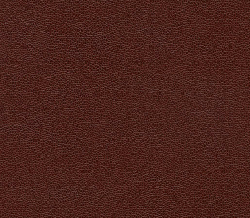 Bull's Eye | Faux leather | Anzea Textiles