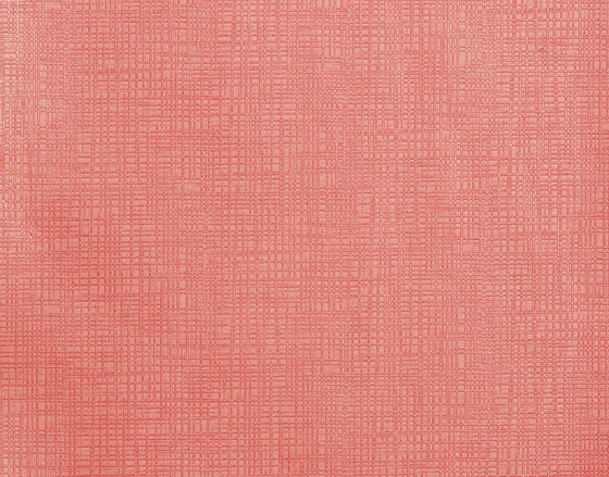 Catalina Cruise | Pink Shells | Tejidos tapicerías | Anzea Textiles