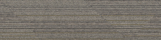 Driftwood Leyland | Carpet tiles | Interface USA