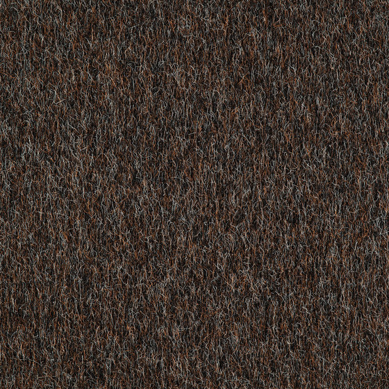 Flor Black Brown | Carpet tiles | Interface USA