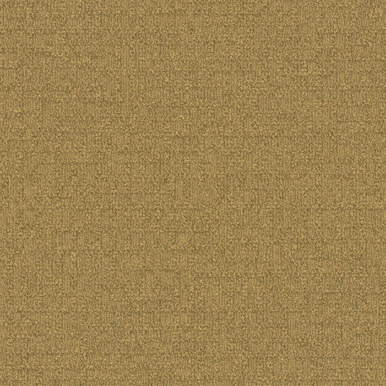 Monochrome Citrus | Carpet tiles | Interface USA