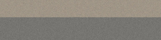Phonic PH210 Pigeon Bands | Carpet tiles | Interface USA