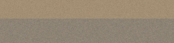 Phonic PH210 Spice Bands | Carpet tiles | Interface USA