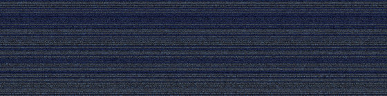 Silver Linings SL910 Navy | Carpet tiles | Interface USA