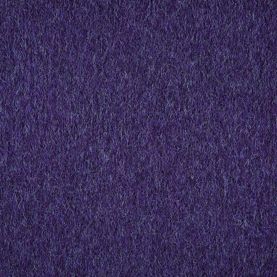 Super Floor Violet | Teppichfliesen | Interface USA