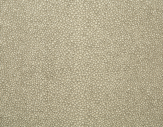 Roseus Regatta | Celadon | Faux leather | Anzea Textiles