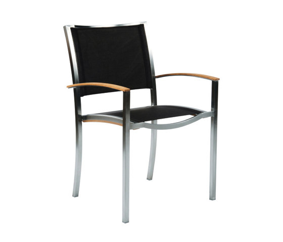 Tiburon Dining Armchair | Chairs | Kingsley Bate