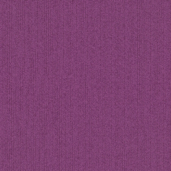 Viva Colores Violeta | Carpet tiles | Interface USA