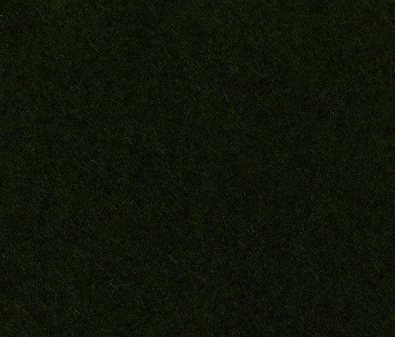 Dachstein green | Tessuti imbottiti | Steiner1888
