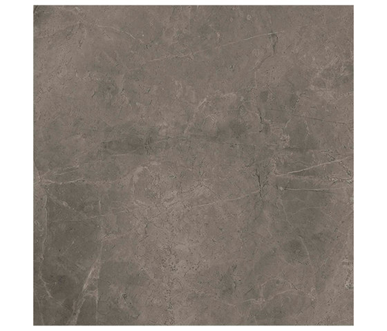 Marstood | Marble 03 | Fior Di Bosco | 60x60 matt | Ceramic tiles | TERRATINTA GROUP